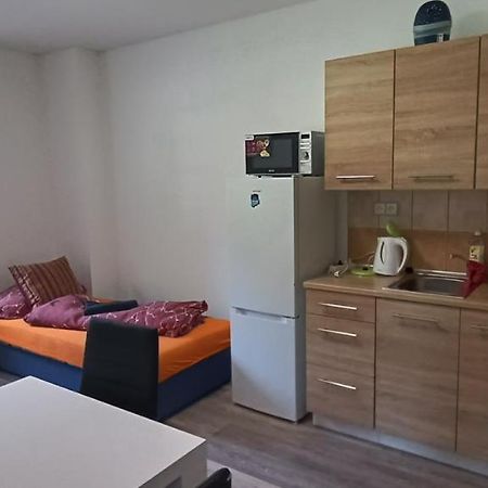 Apartmán u Lebedů Apartman Strazny Kültér fotó