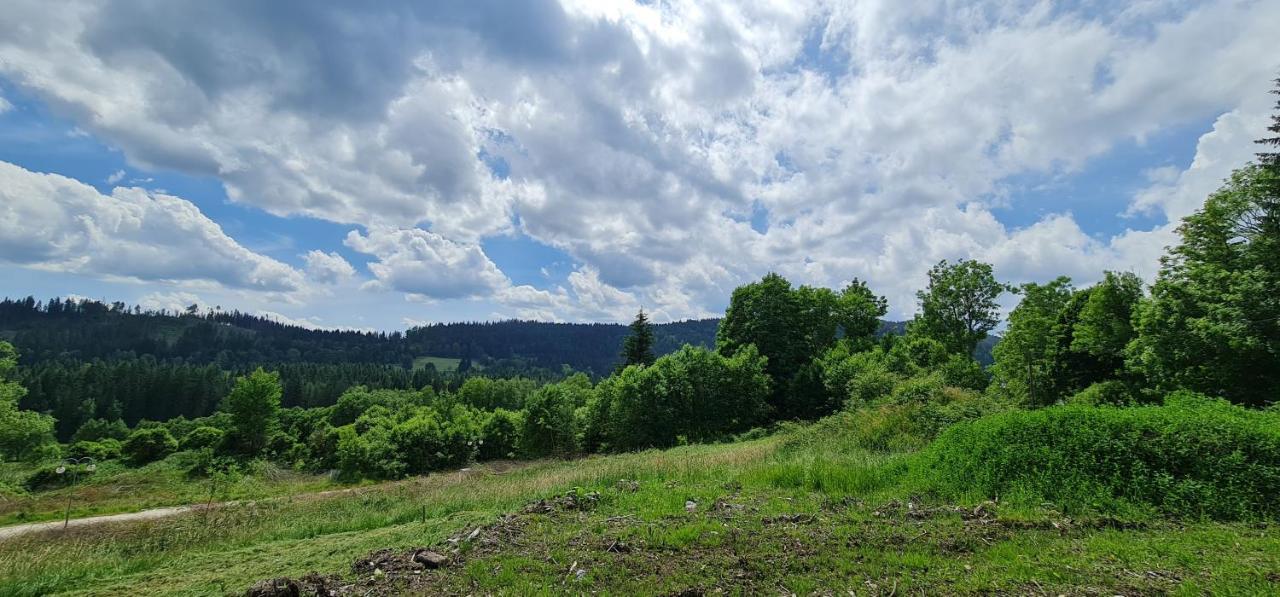 Apartmán u Lebedů Apartman Strazny Kültér fotó