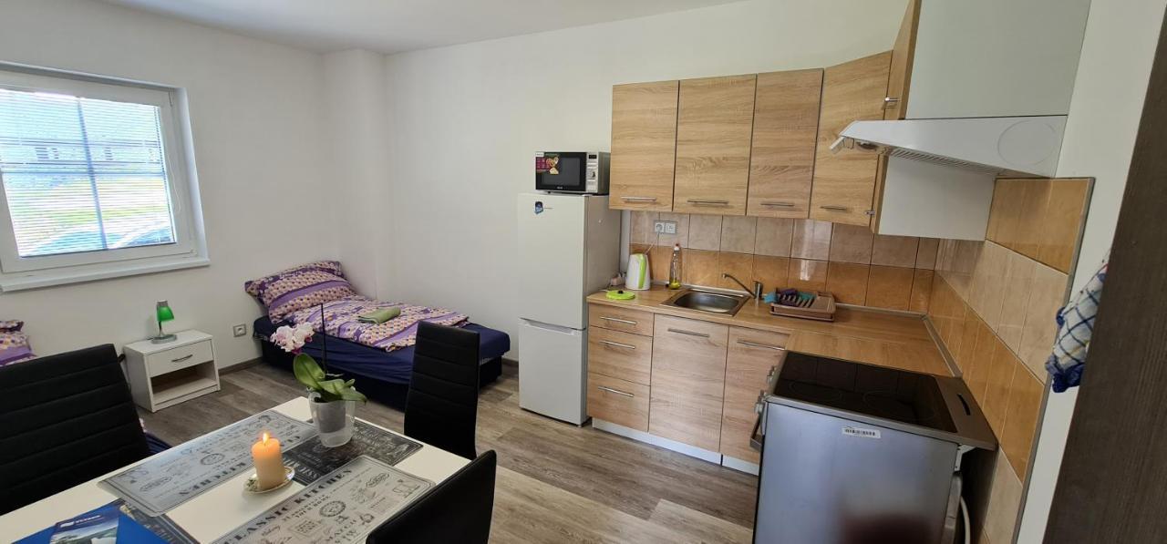 Apartmán u Lebedů Apartman Strazny Kültér fotó