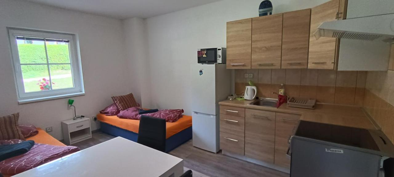Apartmán u Lebedů Apartman Strazny Kültér fotó